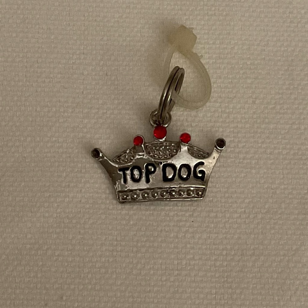 GANZ Pet Tag “Top Dog” 🐶
